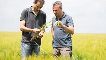 BASF Agricultural Solutions